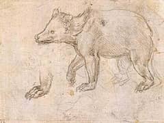 Studies of a Bewalking by Leonardo da Vinci 