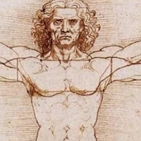 The Vitruvian Man by Leonardo da Vinci