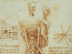 Anatomy of the Neck by Leonardo da Vinci