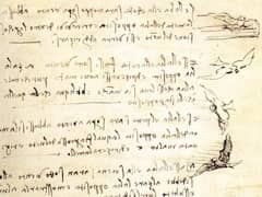 Codex on the Flight of Birds by Leonardo da Vinci
