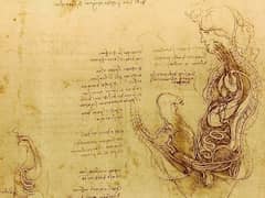 Coition of a Hemisected Man and Woman by Leonardo da Vinci 