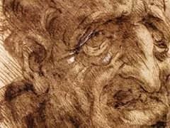 Head of an Old Man by Leonardo da Vinci