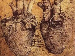 Heart and its Blood Vessels by Leonardo da Vinci