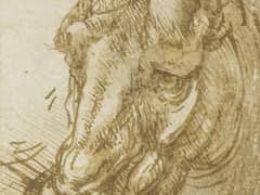 Horse Head by Leonardo da Vinci