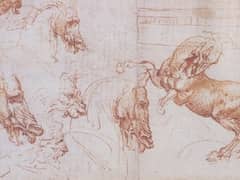Horse Studies by Leonardo da Vinci
