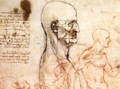 Profile of a Man and Study of Two Riders by Leonardo da Vinci