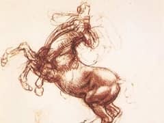 Rearing Horse by Leonardo da Vinci
