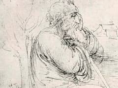 Seated Old Man by Leonardo da Vinci