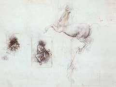 Studies of Leda and a Horse by Leonardo da Vinci