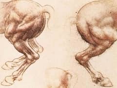 Study of Horses by Leonardo da Vinci