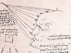 Study of the Effect of Light on a Profile Head by Leonardo da Vinci