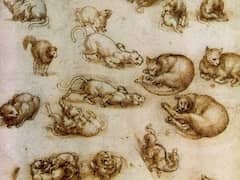 Study Sheet with Cats, Dragon, and Other Animal by Leonardo da Vinci