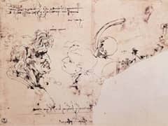 Study Sheet by Leonardo da Vinci