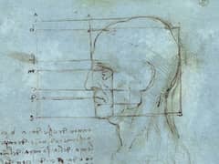 The Proportions of the Head by Leonardo da Vinci