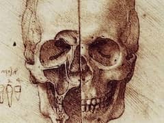 The Skull by Leonardo da Vinci