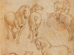 Two Horsemen Fighting a Dragon by Leonardo da Vinci