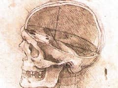 View of a Skull by Leonardo da Vinci