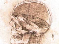 View of a Skull by Leonardo da Vinci