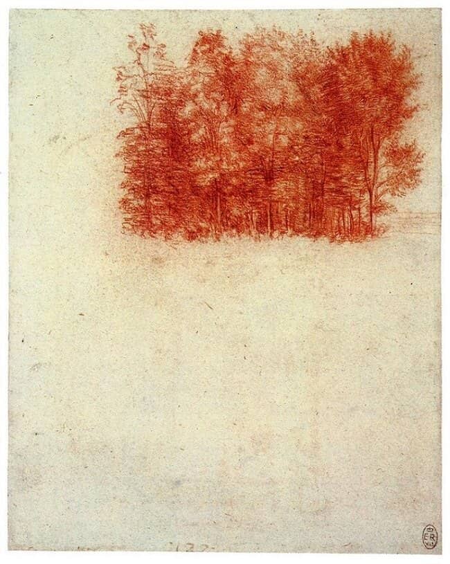Birch Copse - by Leonardo da Vinci