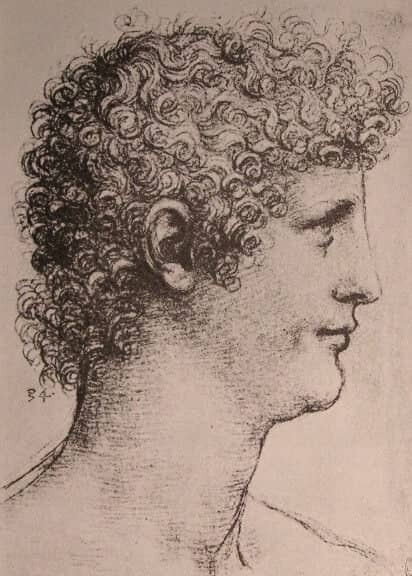 Drawing of Salai - by Leonardo da Vinci