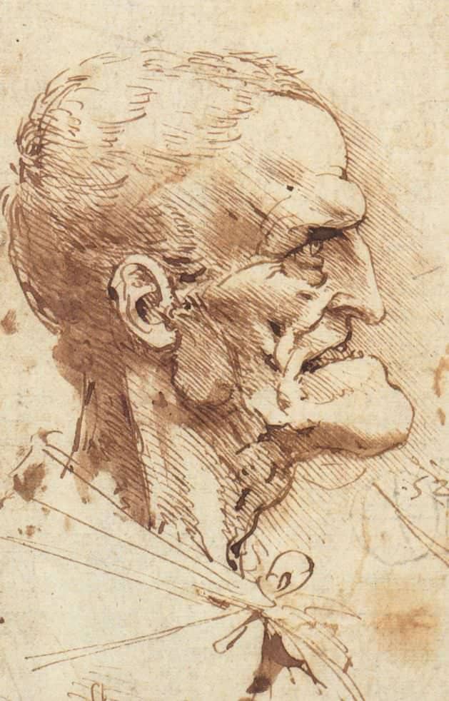 Grotesque Profile - by Leonardo da Vinci