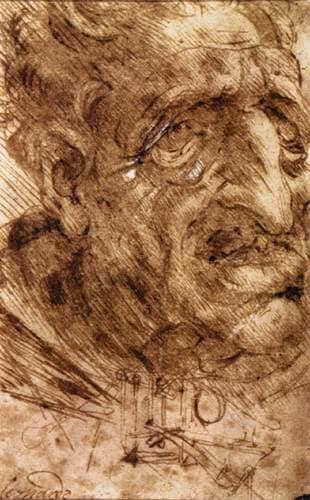 Head of an Old Man - by Leonardo da Vinci