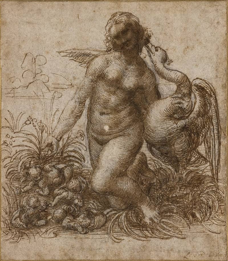 Leda and the Swan Drawing by Leonardo da Vinci