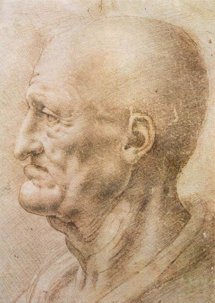 Profile of an Old Man - by Leonardo da Vinci