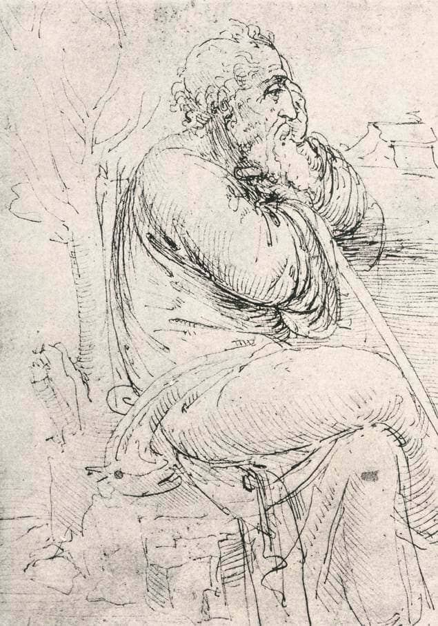 Seated Old Man - by Leonardo da Vinci
