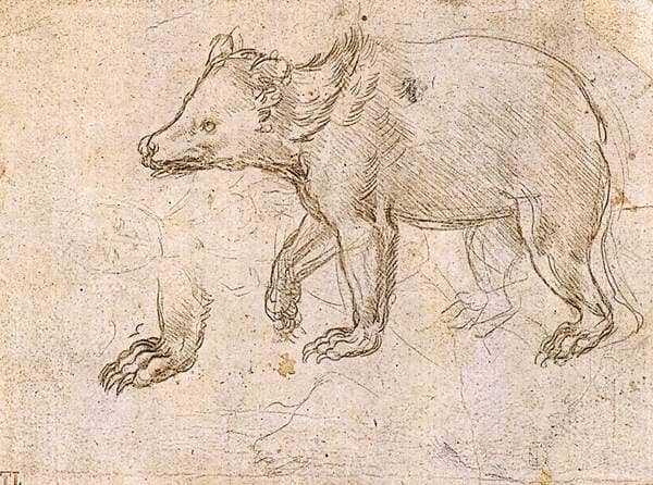 Studies of a Bewalking - by Leonardo da Vinci
