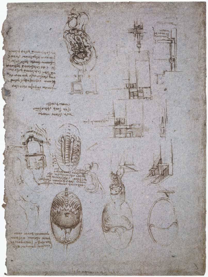 Studies of the Villa Melzi and Anatomical Study - by Leonardo da Vinci