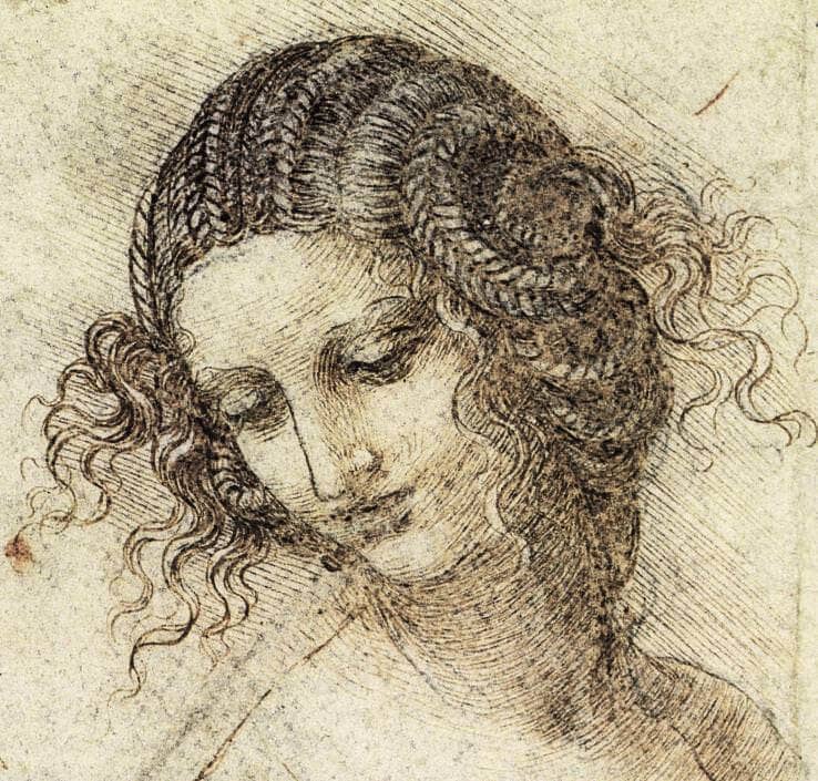 Study for the Head of Leda - by Leonardo da Vinci