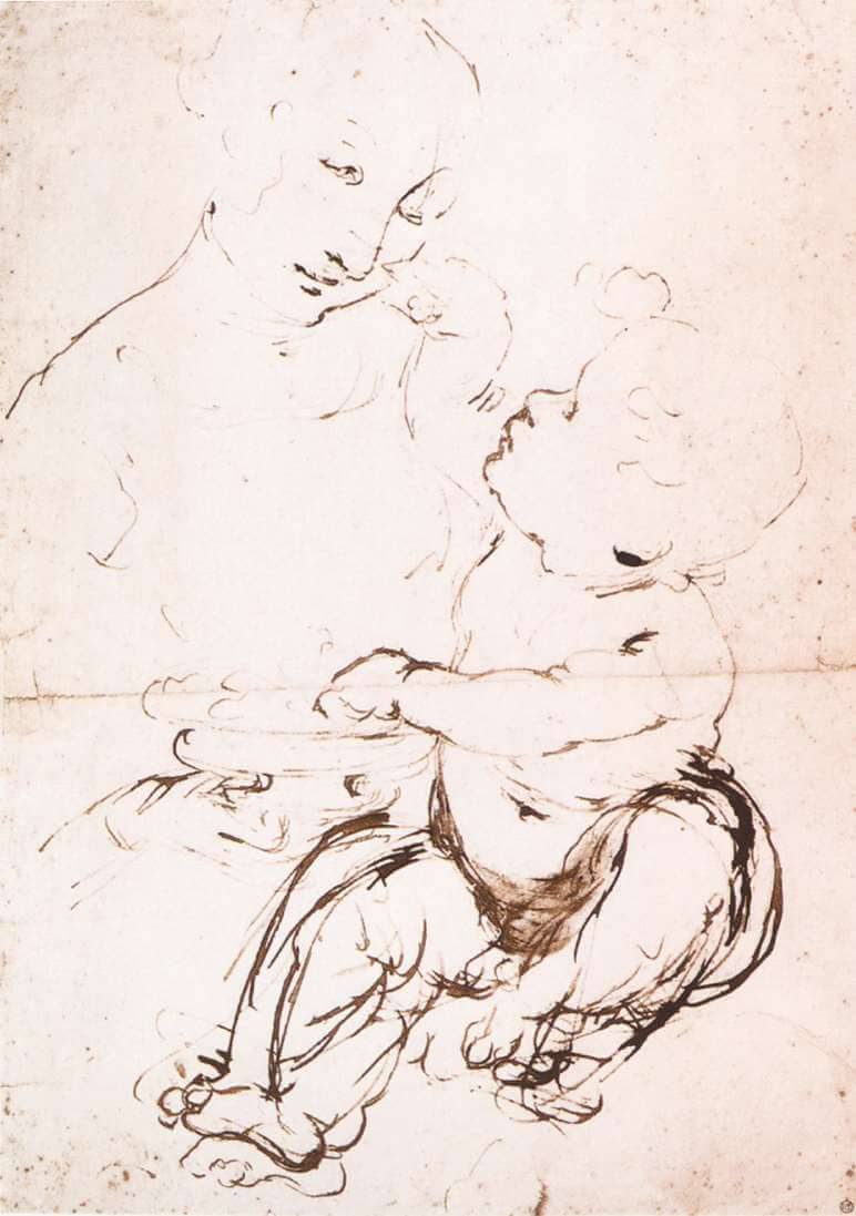 Study for the Madonna with the Fruit Bowl - by Leonardo da Vinci