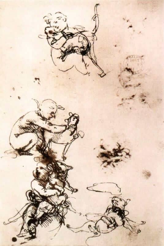 Study of a Child with a Cat - by Leonardo da Vinci