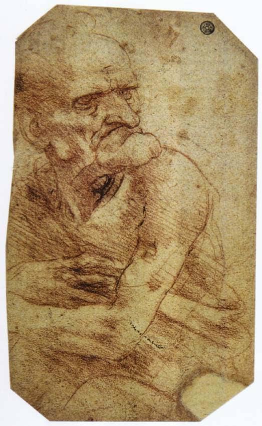 Study of an Old Man - by Leonardo da Vinci