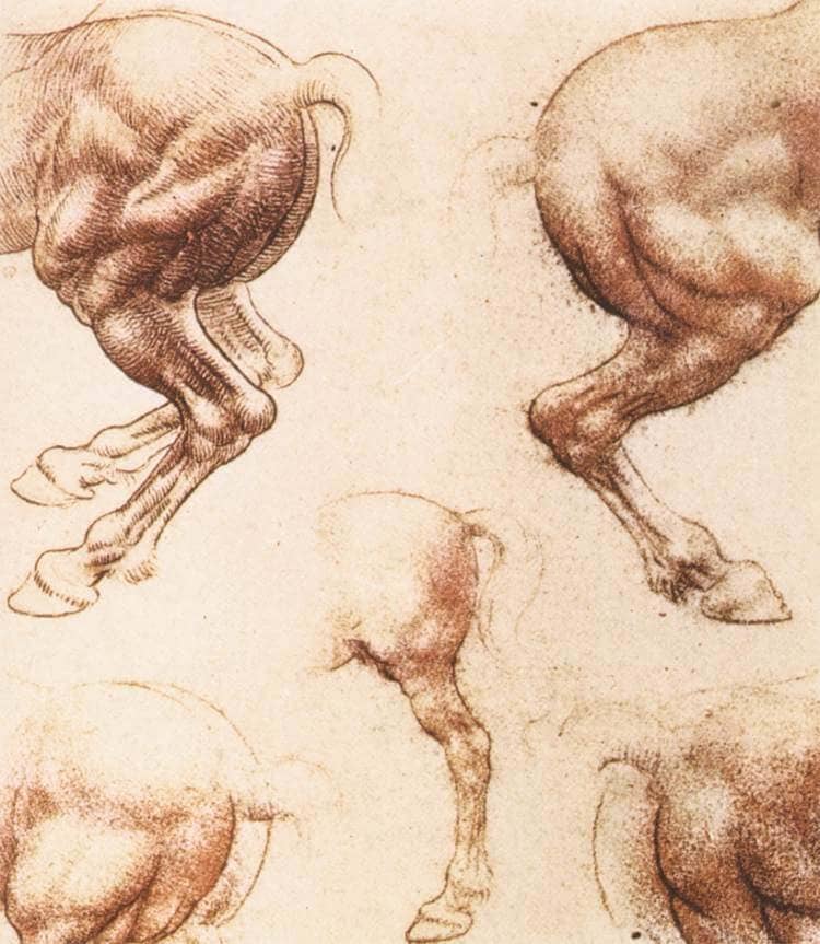 Study of Horses - by Leonardo da Vinci