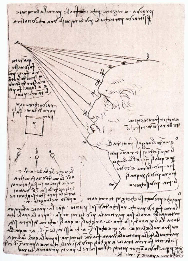 Study of the Effect of Light on a Profile Head - by Leonardo da Vinci