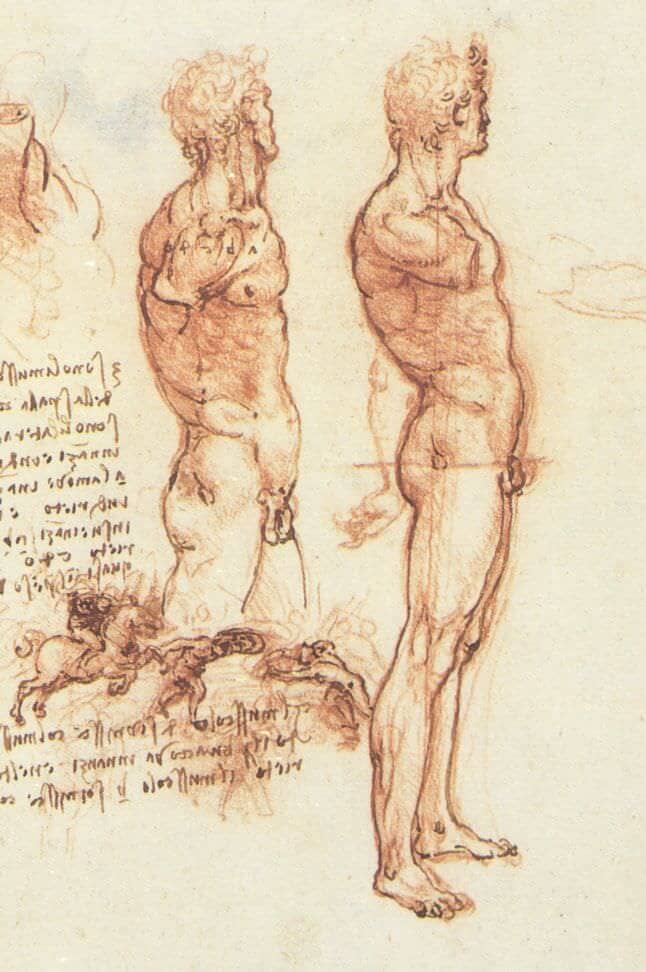 The Anatomy of a Male Nude and a Battle Scene - by Leonardo da Vinci