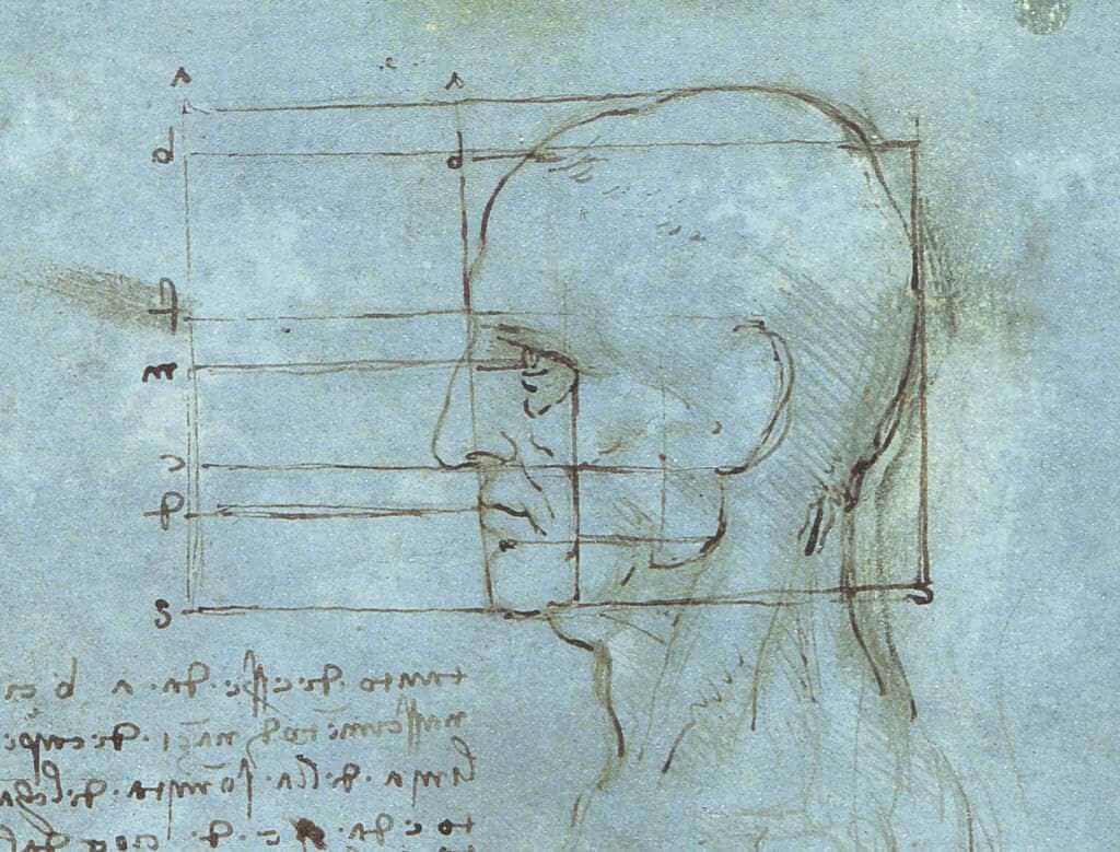 The Proportions of the Head - by Leonardo da Vinci