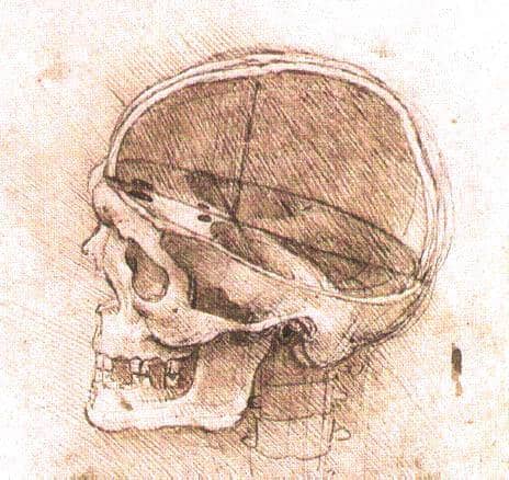 View of a Skull - by Leonardo da Vinci