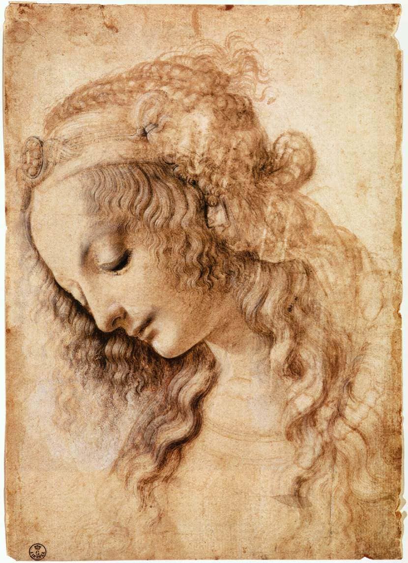 Womans Head - by Leonardo da Vinci